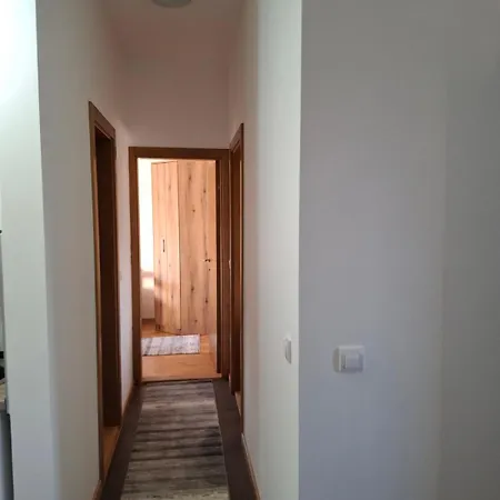 Dunja ズラティボール