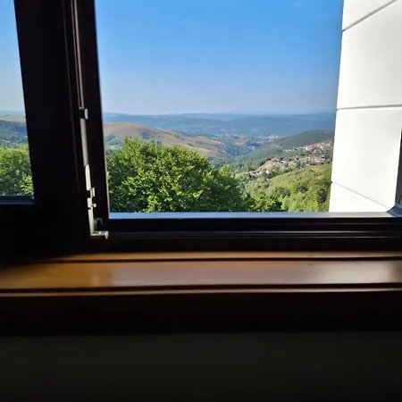 Dunja ズラティボール