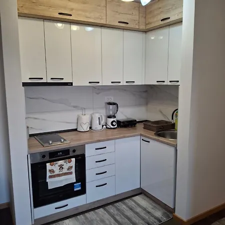 Dunja ズラティボール