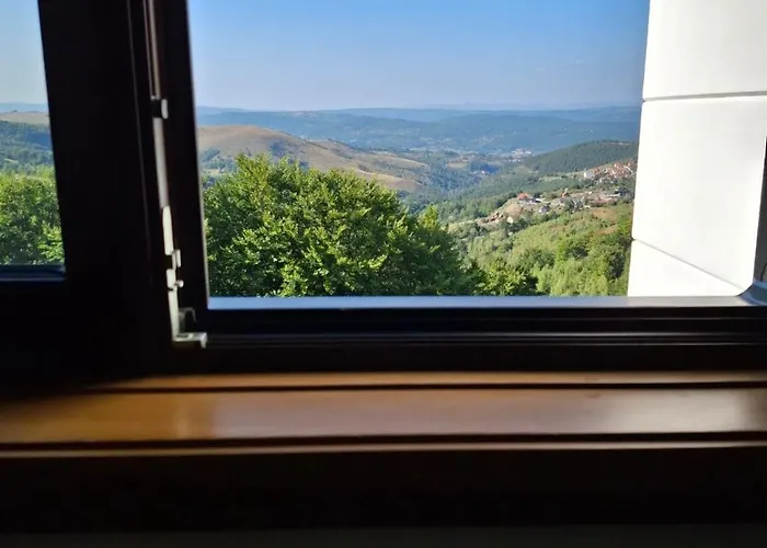 Dunja زلاتيبور